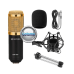 Mikrofonai ir mikrofonų priedai - Mikrofonas Branches BM-800 su filtru, stovu ir stabilizatoriumi