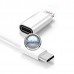Apple Lightning į Type-C lizdą jungtis sidabro spalvos Vilnius | Klaipėda | Šiauliai