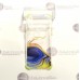 ColorWave dėklas nugarėlė Samsung Galaxy A20s telefonams geltonos spalvos Klaipėda | Klaipėda | Telšiai